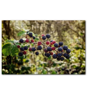 Cakapuzzle Dalında Böğürtlen Ahududular Flu Arkaplan Puzzle Yapboz MDF (Ahşap) (500 Parça)