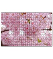 Cakapuzzle Kiraz Çiçeği Görseli  Puzzle Yapboz MDF (Ahşap) (500 Parça)