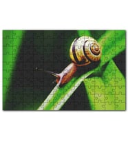 Cakapuzzle Yeşil Yaprak Üzerinde Salyangoz Yakın Çekim Puzzle Yapboz MDF (Ahşap) (500 Parça)