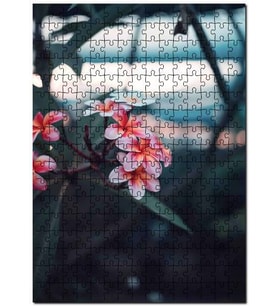 Cakapuzzle Pembe Plumeria Çiçekleri Flu Arkaplan Puzzle Yapboz MDF (Ahşap) (500 Parça)