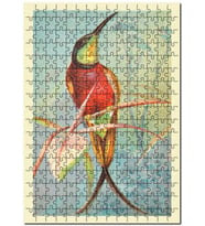 Cakapuzzle Crimson Topaz Kuş Görseli Puzzle Yapboz MDF (Ahşap) (500 Parça)