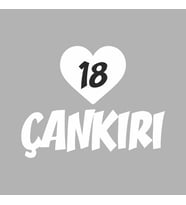 Kalpli 18 Çankırı Araba Sticker siyah 20x15 CM (Beyaz)