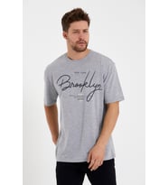 Süperlife Erkek Bisiklet Yaka Standart &Regular Fit Tişort SPR22TS110 (Grimelanj)