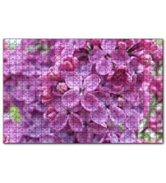 Cakapuzzle Mor Orkideler Görseli  Puzzle Yapboz MDF (Ahşap) (255 Parça)