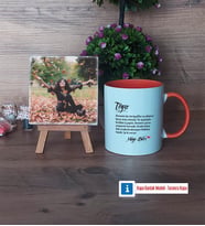 Teyzeye Hediye Fotoğraflı Dekoratif Taş, Kupa Bardak Beyaz Hediye (Model 13)