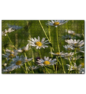 Cakapuzzle Siyah Papatyalar  Puzzle Yapboz MDF (Ahşap) (500 Parça)