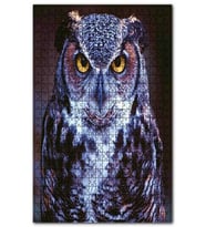 Cakapuzzle Bubo Baykuşu Puzzle Yapboz MDF (Ahşap) (255 Parça)