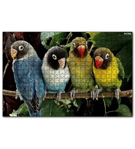 Cakapuzzle Dalda Sevda Papağanları  Puzzle Yapboz MDF (Ahşap) (1000 Parça)