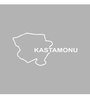 Kastamonu Harita Araba Sticker siyah 17x9 CM (Beyaz)