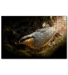 Cakapuzzle Daldaki Ötücü Kuş  Puzzle Yapboz MDF (Ahşap) (1000 Parça)