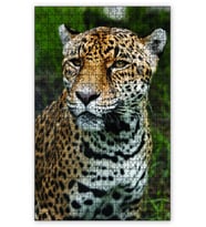 Cakapuzzle Leopar Avcı Puzzle Yapboz MDF (Ahşap) (500 Parça)