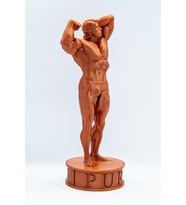 FLEXIS ARNOLD SCHWARZENEGGER FİGÜRÜ IRON PURE 19 CM (B.Kahverengi)
