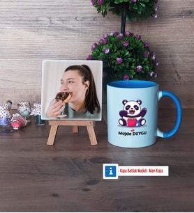 Sevimli Panda Fotoğraflı Dekoratif Taş, Kupa Bardak Beyaz Hediye (Model 4)