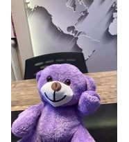 ÖZGÜNER RENKLİ  20CM AYICIK (Lila)