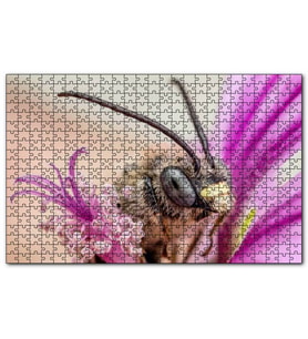 Cakapuzzle Eflatun Çiçeklerin Arasında Boynuzlu Arı Puzzle Yapboz MDF (Ahşap) (1000 Parça)