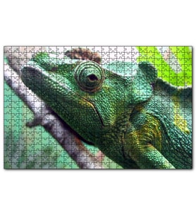 Cakapuzzle Daldaki Bukalemun Yakın Çekim  Puzzle Yapboz MDF (Ahşap) (255 Parça)