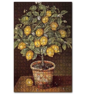 Cakapuzzle Saksıda Limon Ağacı Resm Görseli Puzzle Yapboz MDF (Ahşap) (255 Parça)