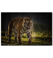 Cakapuzzle Yorkshire Vahşi Yaşam Parkı Kaplan Vladimir  Puzzle Yapboz MDF (Ahşap) (1000 Parça)