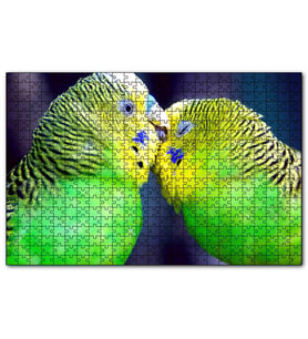Cakapuzzle İki Muhabbet Kuşu Görseli  Puzzle Yapboz MDF (Ahşap) (255 Parça)