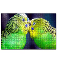 Cakapuzzle İki Muhabbet Kuşu Görseli  Puzzle Yapboz MDF (Ahşap) (255 Parça)
