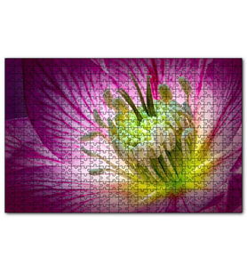 Cakapuzzle Makro Closeup Helleborus Çiçek Görseli  Puzzle Yapboz MDF (Ahşap) (255 Parça)