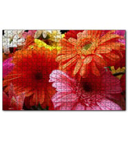 Cakapuzzle Gerbera Çiçekleri Turunculu Pembeli  Puzzle Yapboz MDF (Ahşap) (255 Parça)