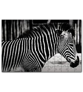Cakapuzzle Benzersiz Deseniyle Zebra Yakın Çekim Puzzle Yapboz MDF (Ahşap) (500 Parça)