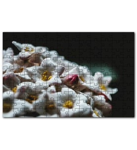 Cakapuzzle Beyaz Çiçeklerin Arasındaki Asi Pembe Puzzle Yapboz MDF (Ahşap) (500 Parça)
