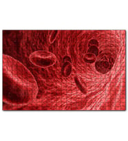 Cakapuzzle Damarların İçi ve Alyuvarlar  Puzzle Yapboz MDF (Ahşap) (255 Parça)