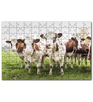 Cakapuzzle Çayırda Tel Örgünün Kenarında İnekler Puzzle Yapboz MDF (Ahşap) (500 Parça)