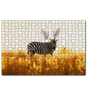Cakapuzzle Doğada Zebra Ve Kuşlar Görseli  Puzzle Yapboz MDF (Ahşap) (1000 Parça)