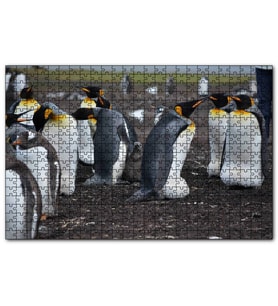Cakapuzzle İmparator Penguenleri ve Yavru  Puzzle Yapboz MDF (Ahşap) (255 Parça)