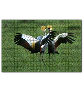 Cakapuzzle Çayırda Dans Eden Turnalar  Puzzle Yapboz MDF (Ahşap) (255 Parça)