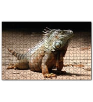 Cakapuzzle Kumlar Üzerinde Görkemli İguana  Puzzle Yapboz MDF (Ahşap) (1000 Parça)