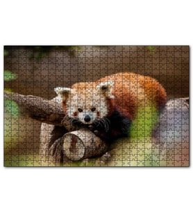 Cakapuzzle Dalda Dinlenen Kızıl Panda  Puzzle Yapboz MDF (Ahşap) (1000 Parça)