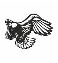 Kartal Sticker 20x20 cm Siyah (Siyah-Siyah)