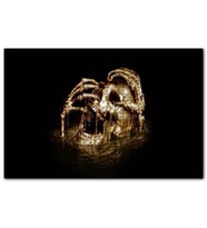 Cakapuzzle Altın Kafatası ve İskelet Eller  Puzzle Yapboz MDF (Ahşap) (255 Parça)