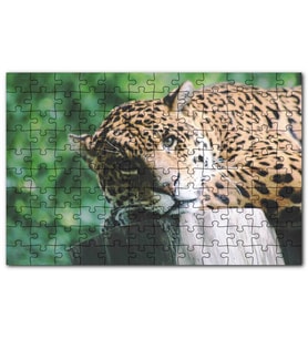 Cakapuzzle Kütüğün Üzerinde Dinlenen Leopar Görsel Puzzle Yapboz MDF (Ahşap) (500 Parça)