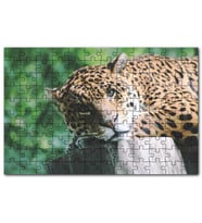 Cakapuzzle Kütüğün Üzerinde Dinlenen Leopar Görsel Puzzle Yapboz MDF (Ahşap) (500 Parça)