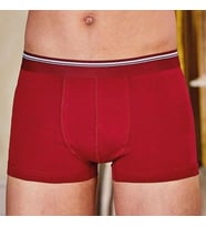Berrak 1097 Erkek Likralı Esnek Boxer 6'Lı  (Bordo)