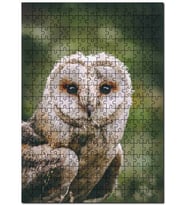 Cakapuzzle Gri Orman Baykuşu Görseli Puzzle Yapboz MDF (Ahşap) (255 Parça)