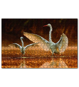 Cakapuzzle  Balıkçıl Kuş ve Yavrusu  Puzzle Yapboz MDF (Ahşap) (1000 Parça)