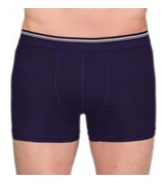 Berrak 1097 Erkek Likralı Esnek Boxer 2 Adet (Lacivert)