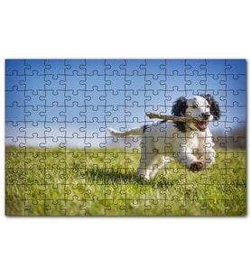 Cakapuzzle Çayırda Oyun Oynayan Sevimli Köpek Puzzle Yapboz MDF (Ahşap) (500 Parça)