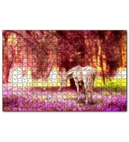 Cakapuzzle Orman Çiçekleri Kelebekler ve Beyaz At  Puzzle Yapboz MDF (Ahşap) (1000 Parça)