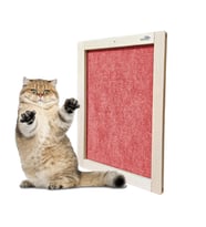Barış Dizayn Doğal Ahşap Duvara Monte Çerçeveli Halı Kedi Tırmalama Paneli (50x35cm) 2 Renk (Kırmızı)
