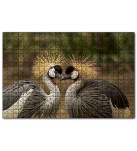 Cakapuzzle Gri Vinçler Taç Kuşları Görsel  Puzzle Yapboz MDF (Ahşap) (1000 Parça)