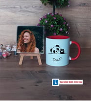 Sevimli Panda Fotoğraflı Dekoratif Taş, Kupa Bardak Beyaz Hediye (Model 2)