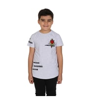 Toontoy Erkek Çocuk Tiger Nakışlı Tişört ( Gri-Melanj)