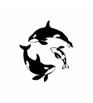 Balinalar Araba Sticker siyah 15x17 CM (Siyah)